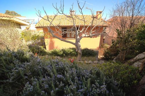 Casa Margot(relax Con Vista)