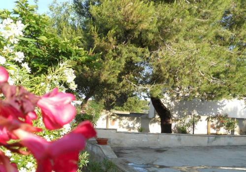 Villa Sole Del Salento