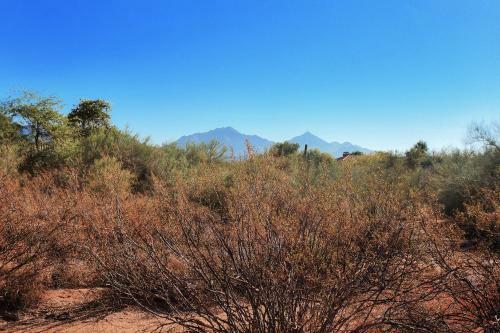 Spectacular Desert Retreat