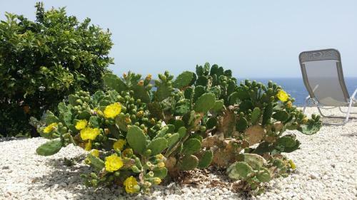Apartamento Casavacanze Residence Maia Volcani