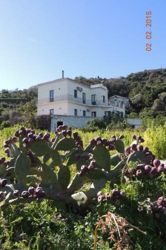 Apartamento Casavacanze Residence Maia Volcani