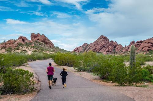 The Signature Unit & Breezy Desert Retreat
