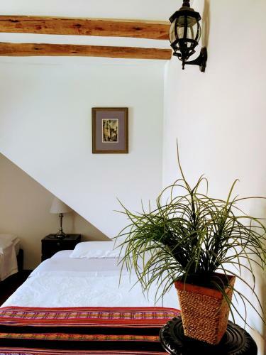 Hostal Kori Gems Inn