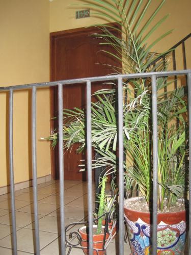 Hotel Casa Cortes