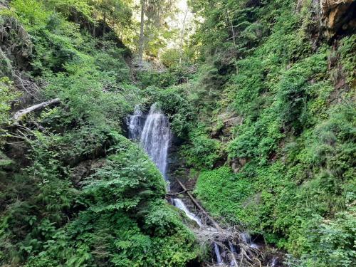 Apartamento Haus Wasserfall