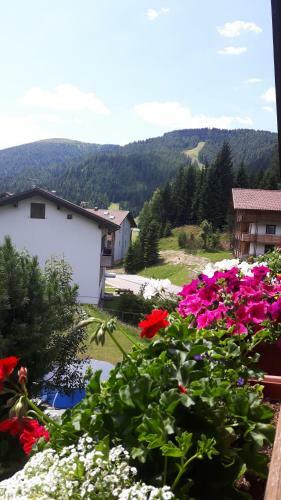 Apartamento Ferienhaus Sch�fer