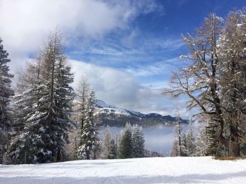 Almh�tte-flattnitz