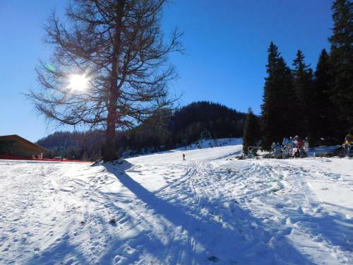 Almh�tte-flattnitz