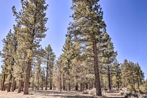 Peaceful Tiny Cabin About 3 Mi To Big Bear Lake!