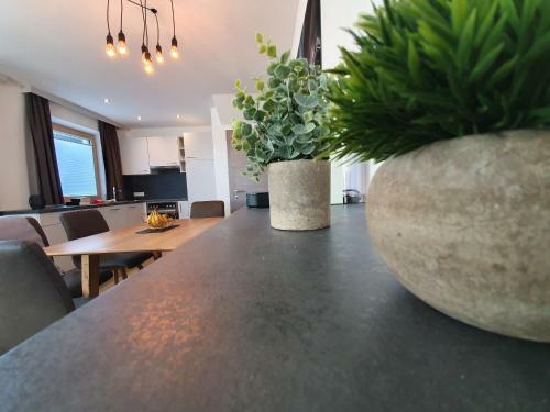 Apartamento Beim Nannerl