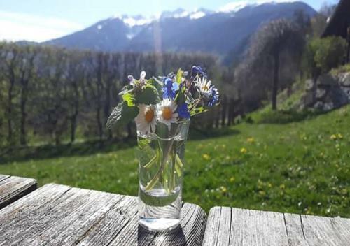 Chalet Waldhof