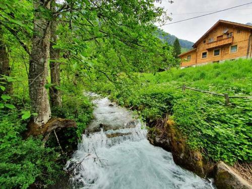 Gletscher Chalet