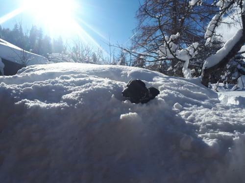 Ferienhaus Alpengl�ck