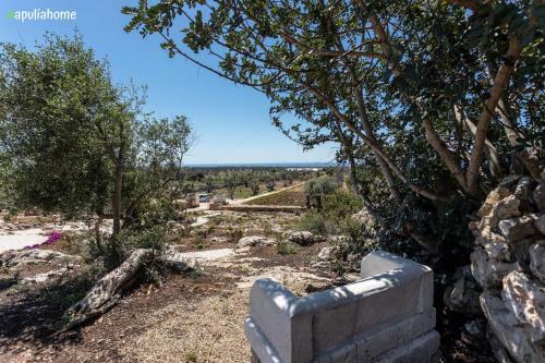 Apartamento I Trulli Di Emma