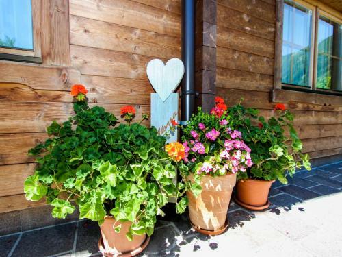 Chalet Antonia-1