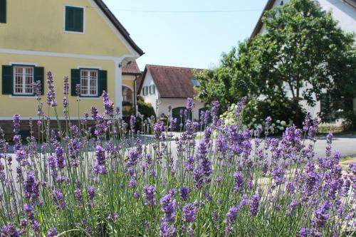 Bed & Breakfast Farmer-rabensteiner