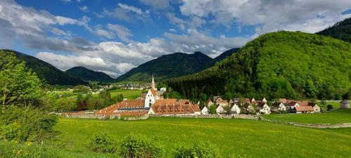 Apartamento Ferienwohnung Bergspa� Gaming
