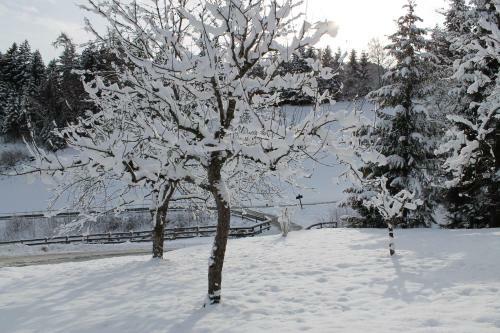 Chalet Alte M�hle