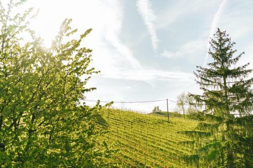 Hostal G�stezimmer & Buschenschank Mit Weingut Hack-gebell