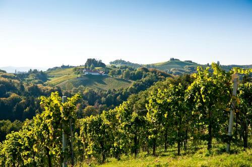 Hostal G�stezimmer & Buschenschank Mit Weingut Hack-gebell