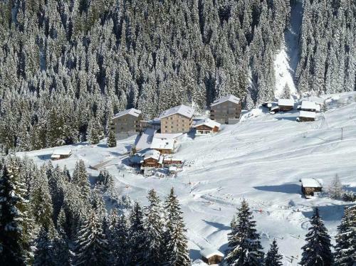 Apartment Typ I Im Alpin Resort Mo