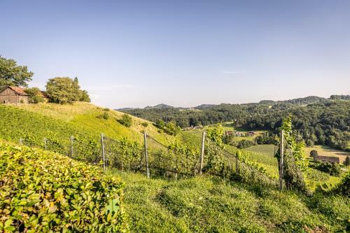 Kranach 5 - Wohnen Beim Wein