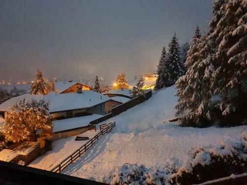 Apartamento Haus Wohleb