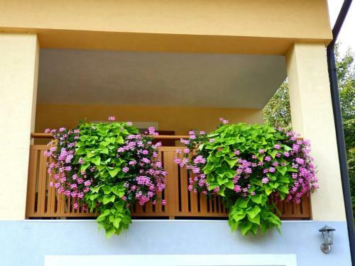 Apartamento Ferienwohnung Wruss