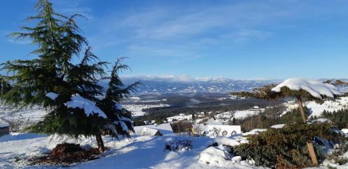 Apartamento Wein- Und Weitblick