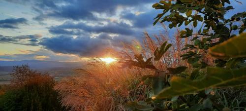 Apartamento Wein- Und Weitblick