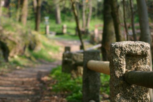 Privatzimmer Zur B�ffelweide