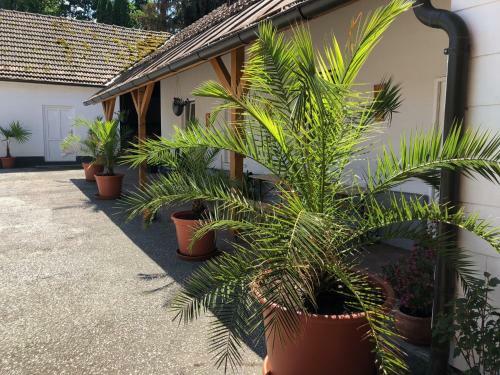 Apartamento Ferienwohnung ?gm�nder Hof?