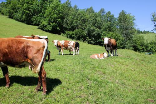 Agroturismo Laxhube