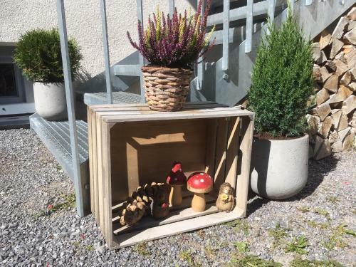 Ferienwohnung Sonnenschein