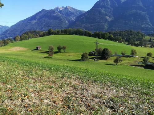 Apartment Alpenpanorama