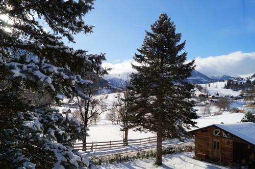 Apartment Alpenpanorama
