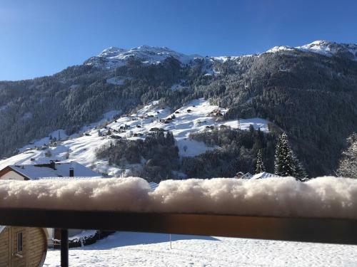 Apartamento Chalet Appartement Antonhaus