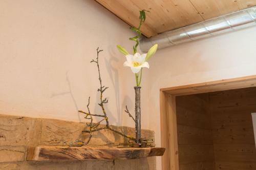 Apartamento Chalet Appartement Antonhaus