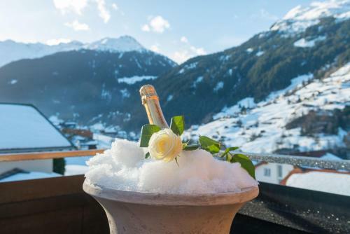 Apartamento Chalet Appartement Antonhaus