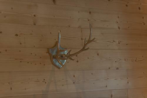 Apartamento Chalet Appartement Antonhaus