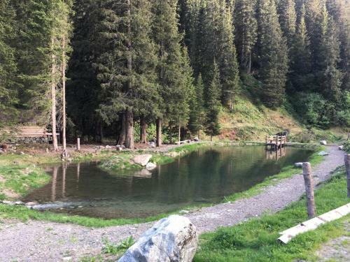 Apartamento Chalet Appartement Antonhaus