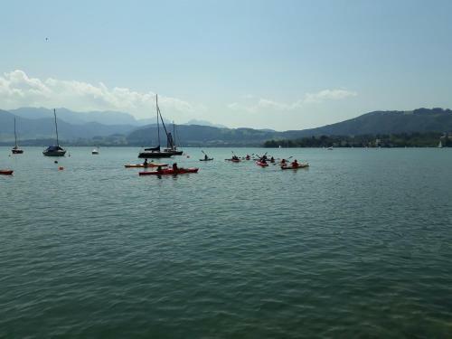 Apartamento Keramikhaus Gmunden