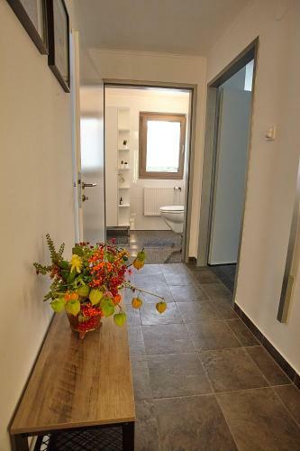 Apartamento Keramikhaus Gmunden