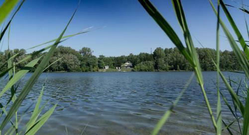 Hostal Villa Neuwirth