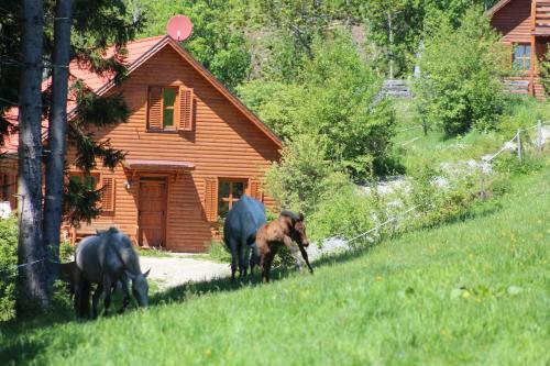 Sternen-chalet
