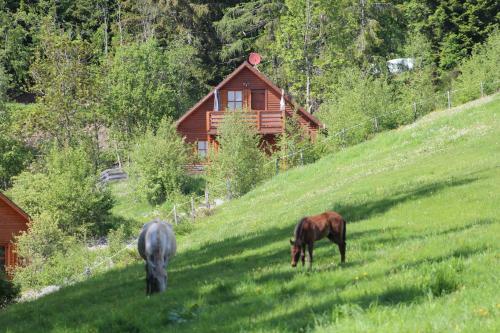 Apartamento Karawankenpanorama 1. Og