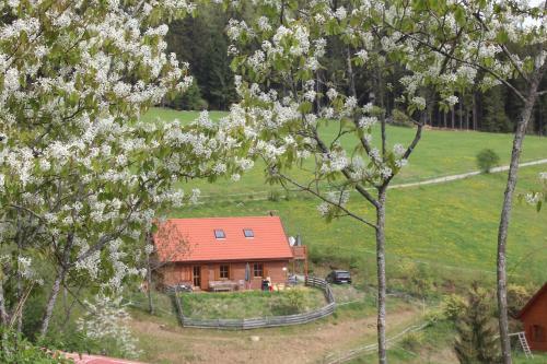 Apartamento Karawankenpanorama 1. Og