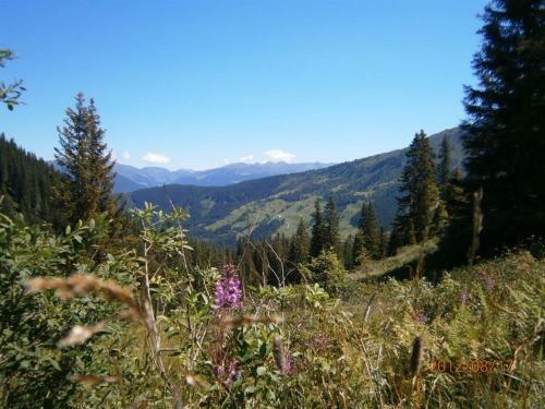 Apartamento Appartement Traumblick