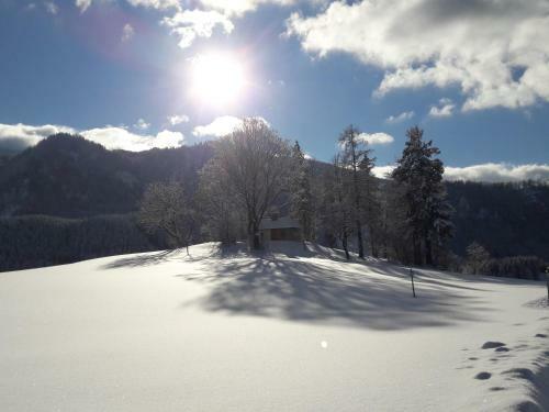 Apartamento Biobauernhof Obereck