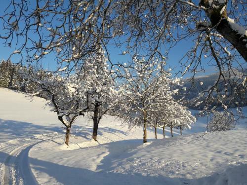 Apartamento Biobauernhof Obereck